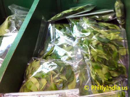 Indian Curry Leaves image © PhillyIndia.us